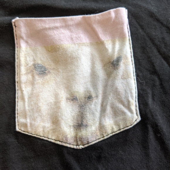 Dan & Phil llama pocket tee - Picture 2 of 3